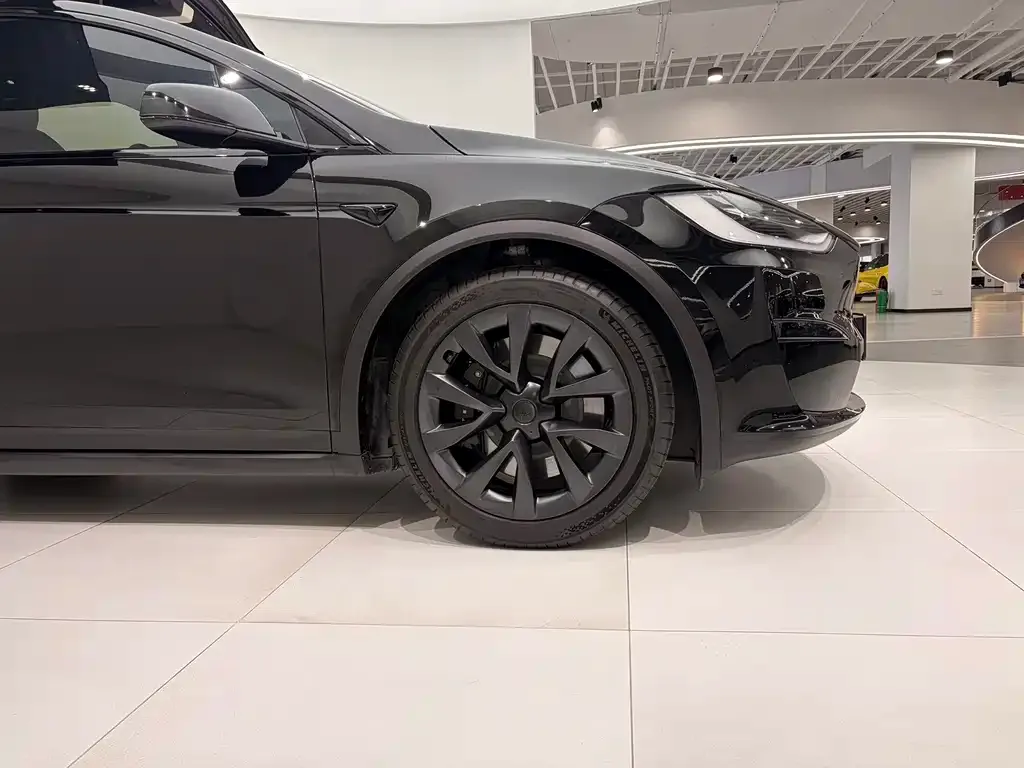 Tesla Model X 2023 из CN, фото 3