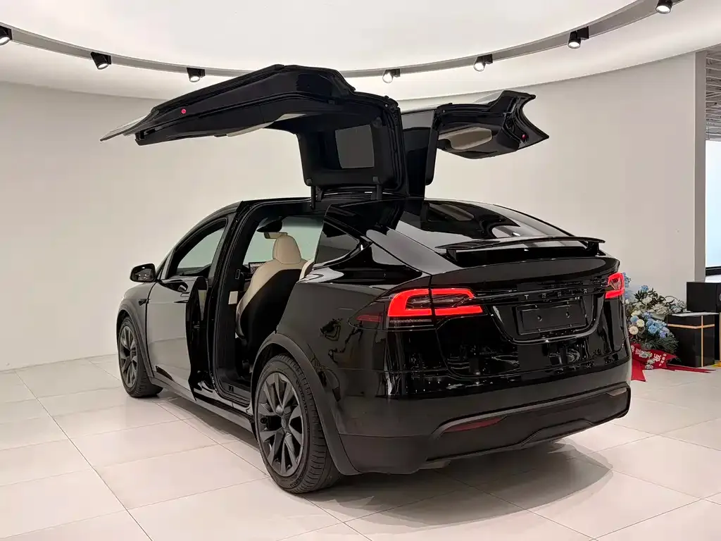 Tesla Model X 2023 из CN, фото 7