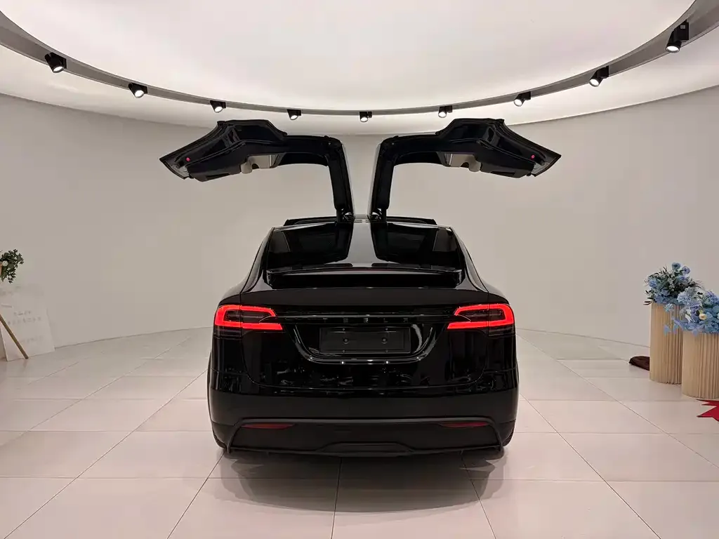 Tesla Model X 2023 из CN, фото 6