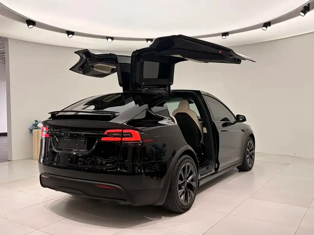Tesla Model X 2023 из CN, фото 4
