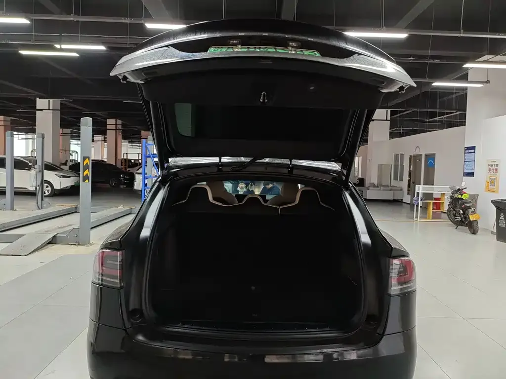 Tesla Model X 2023 из CN, фото 9