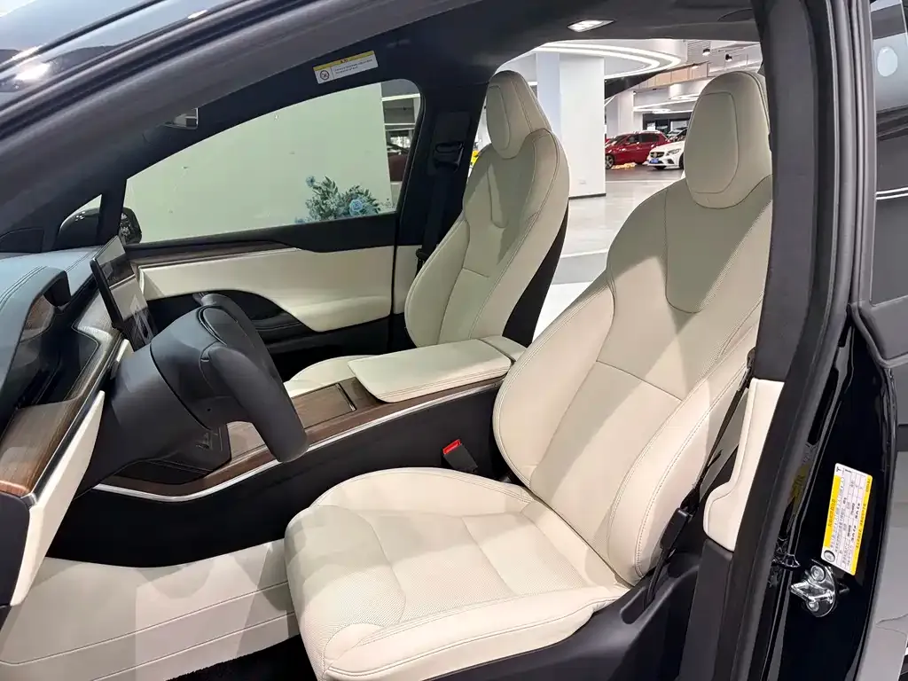 Tesla Model X 2023 из CN, фото 5