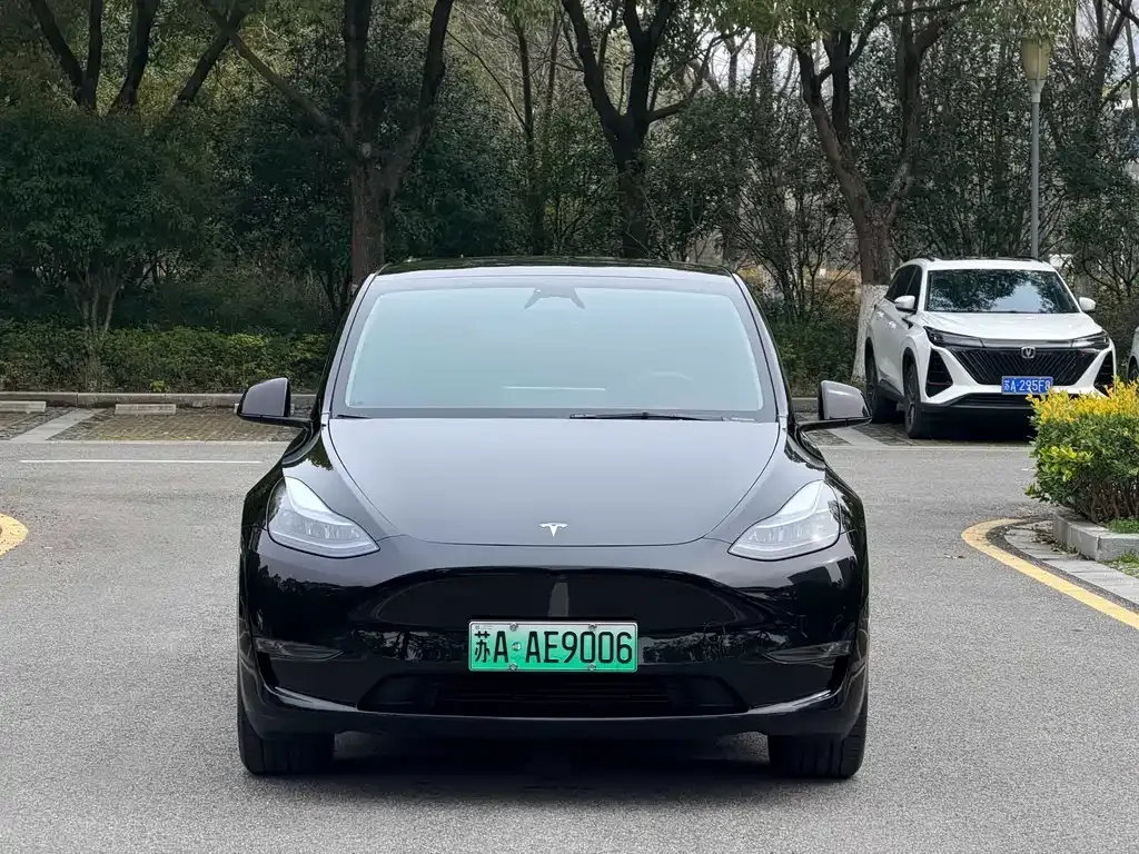 Tesla Model Y — фото 3