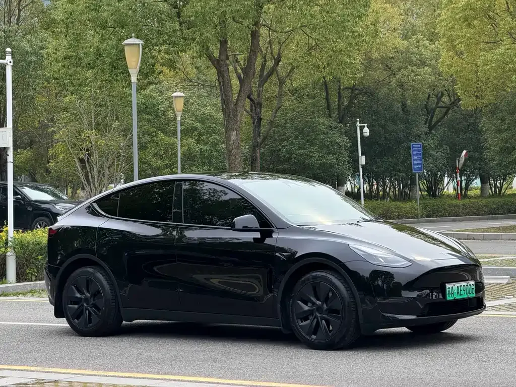 Tesla Model Y — фото 2