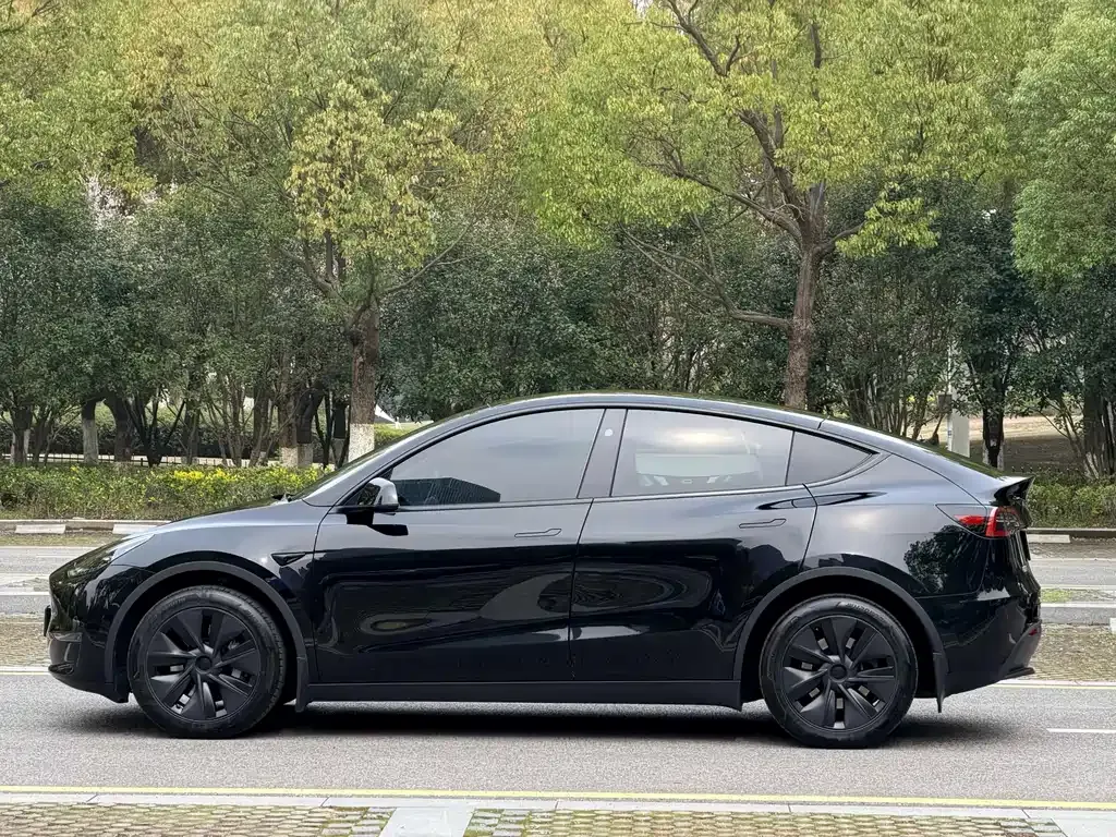 Tesla Model Y — фото 10