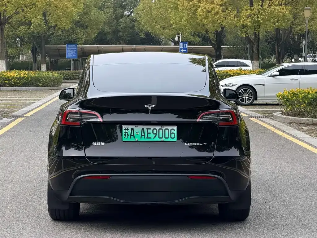 Tesla Model Y — фото 6