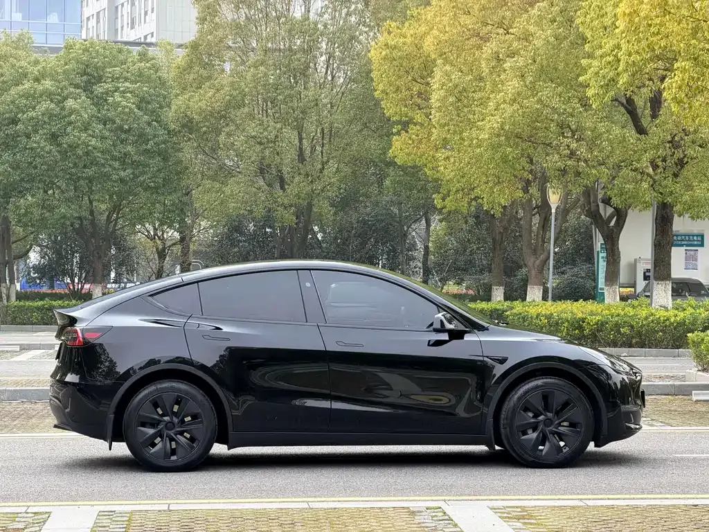 Tesla Model Y — фото 5