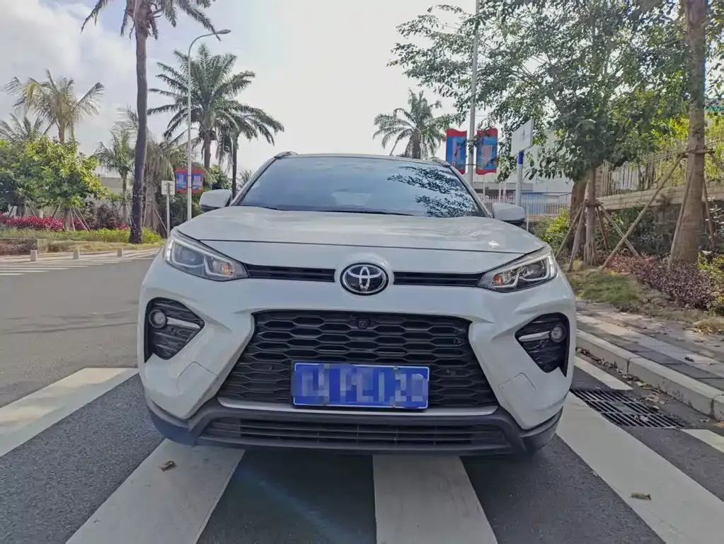 Toyota Wildlander 2023 из CN, фото 9