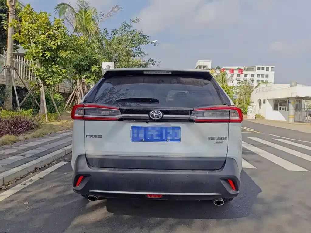 Toyota Wildlander 2023 из CN, фото 7