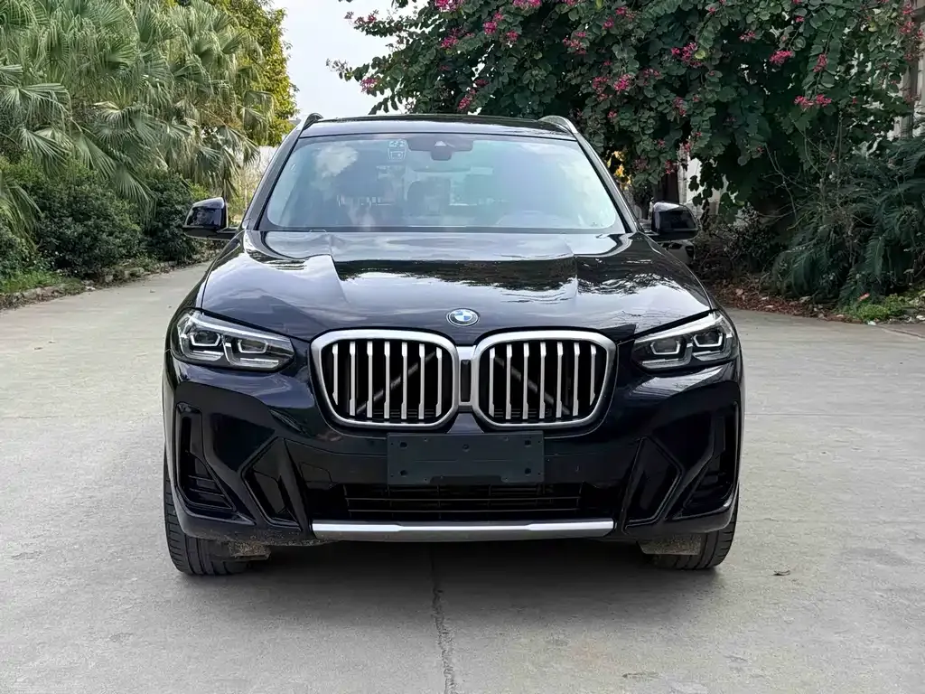 BMW X3 2022 из CN, фото 3