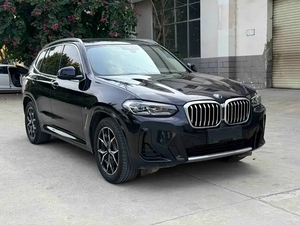 BMW X3 2022 из CN, фото 6