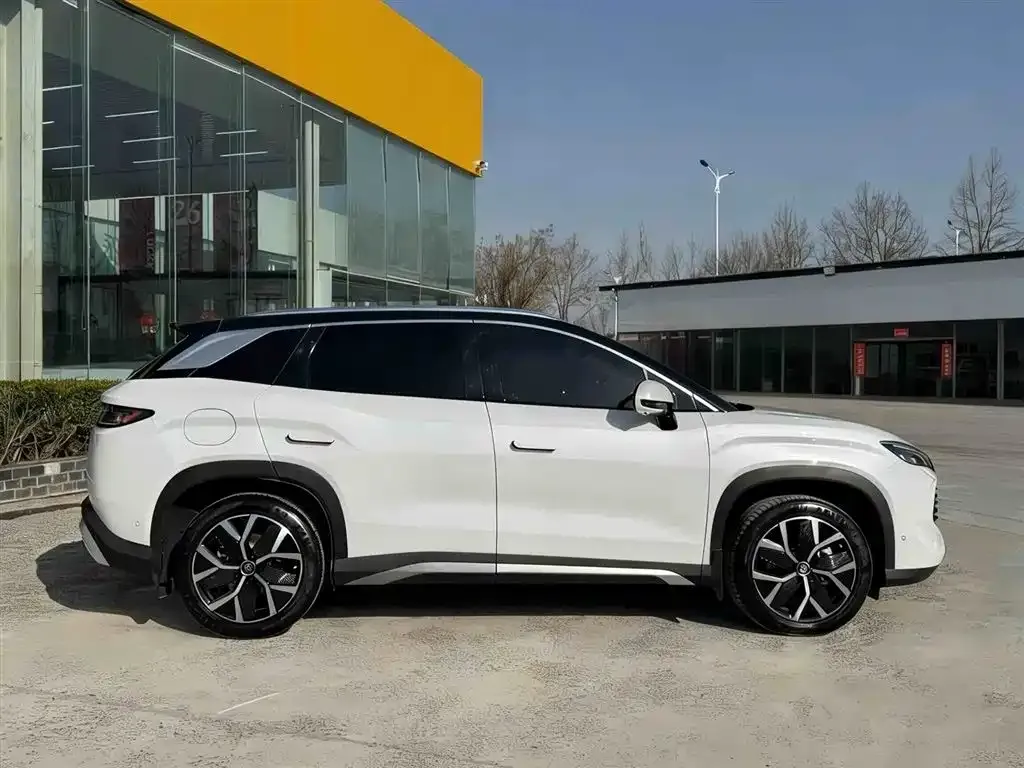 BYD L DM-i — фото 6