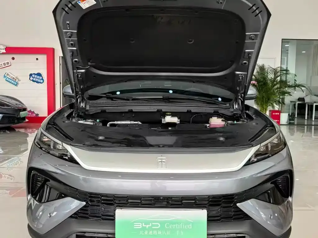 BYD Pro New Energy — фото 3