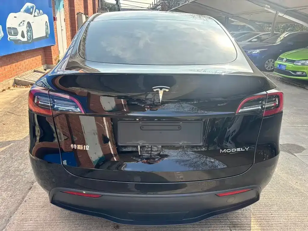 Tesla Model Y — фото 3