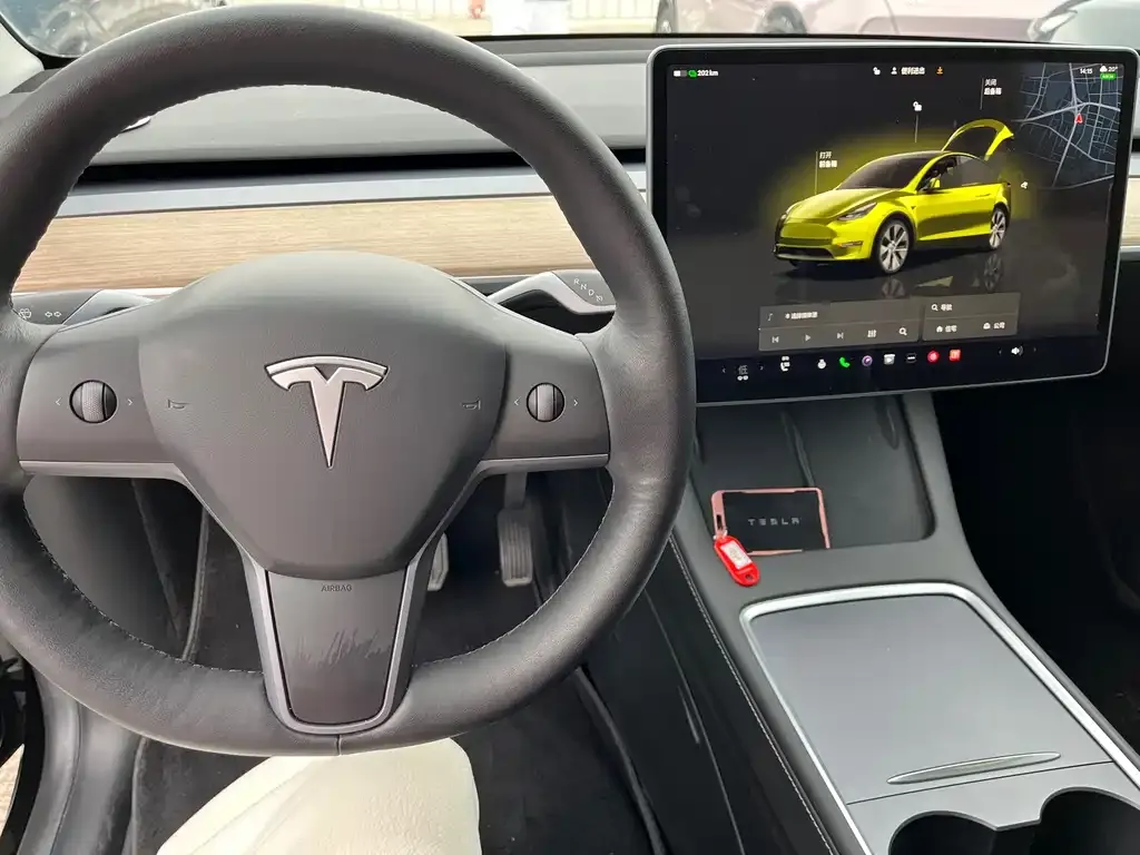 Tesla Model Y — фото 10