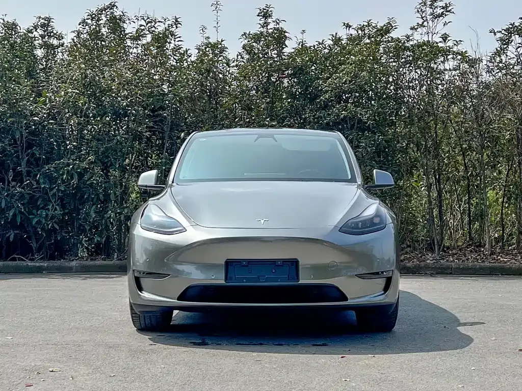 Tesla Model Y — фото 6