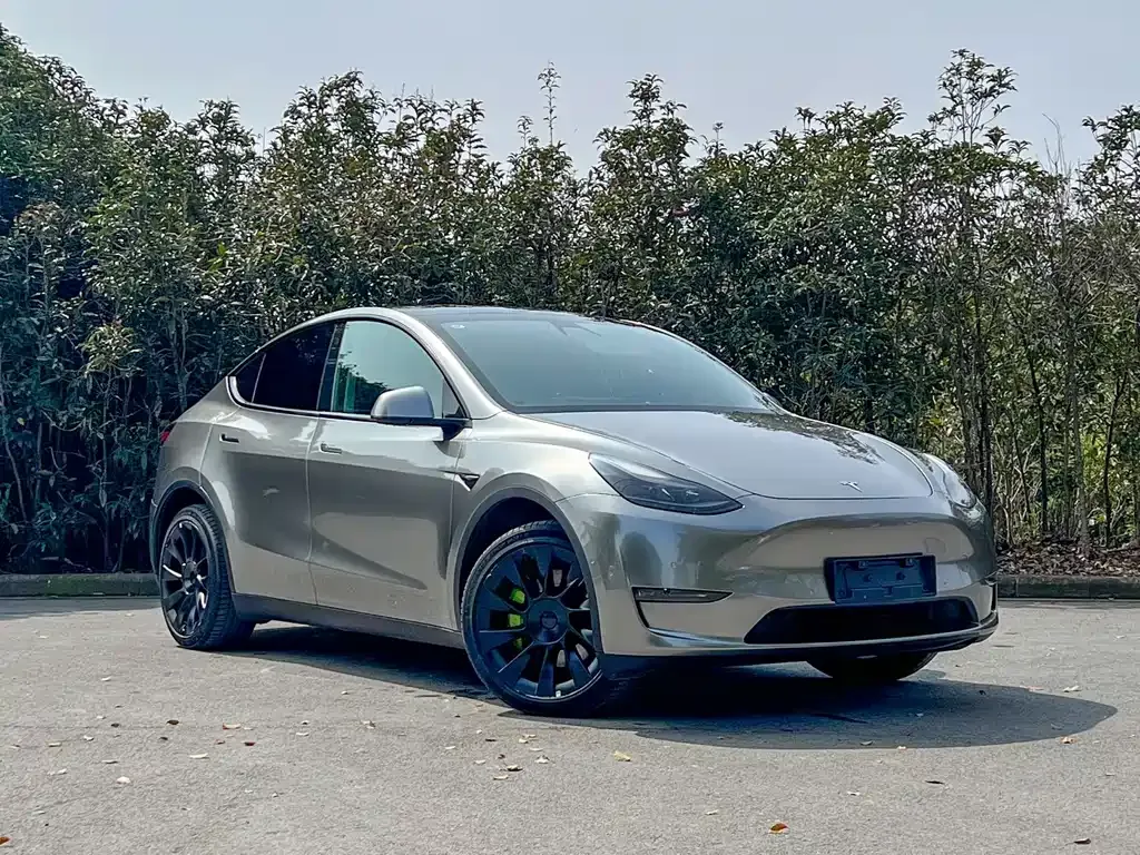 Tesla Model Y — фото 10