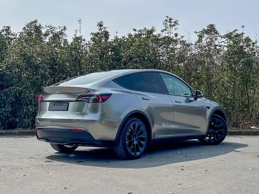 Tesla Model Y — фото 4