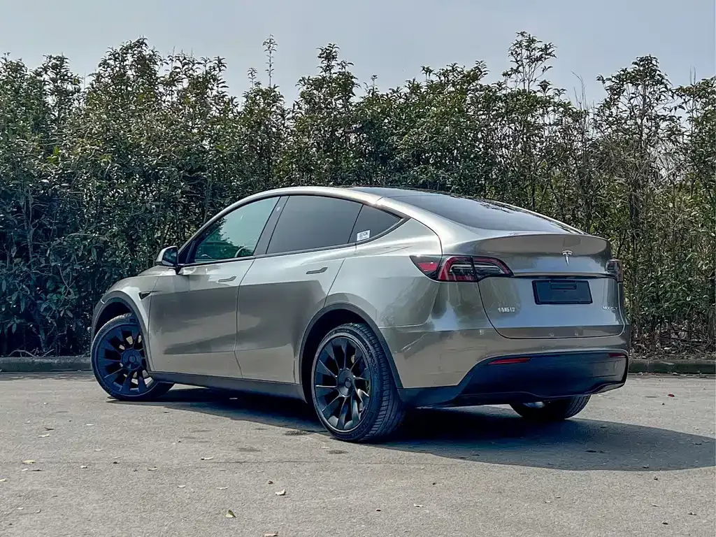 Tesla Model Y — фото 8