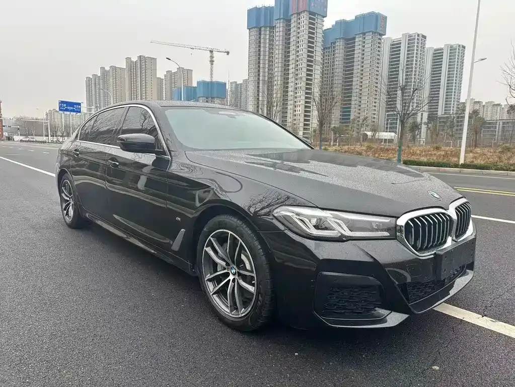 BMW 5 Series New Energy — фото 9