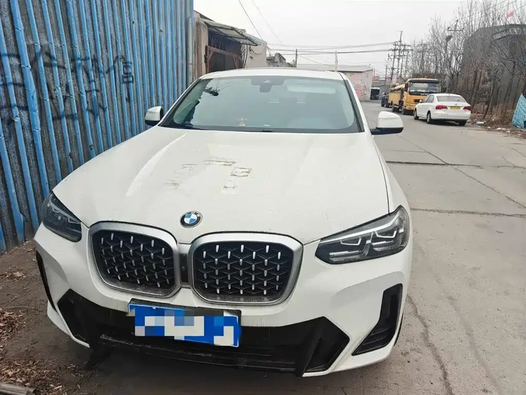 BMW X4 2022 из CN, фото 10