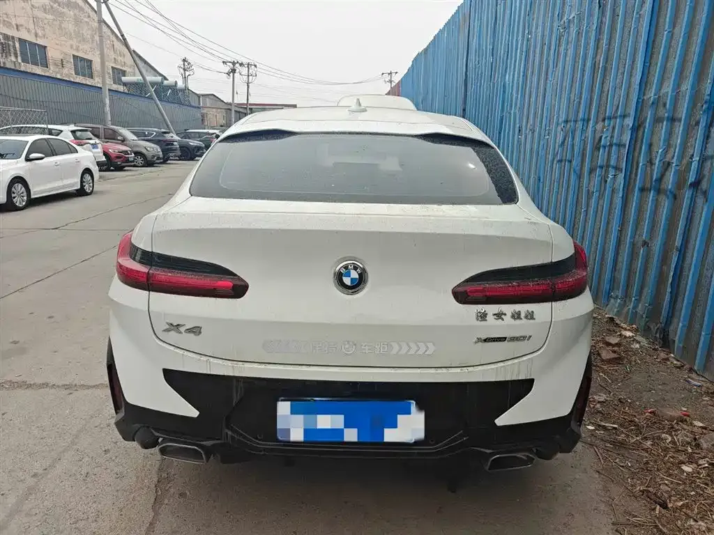 BMW X4 2022 из CN, фото 7