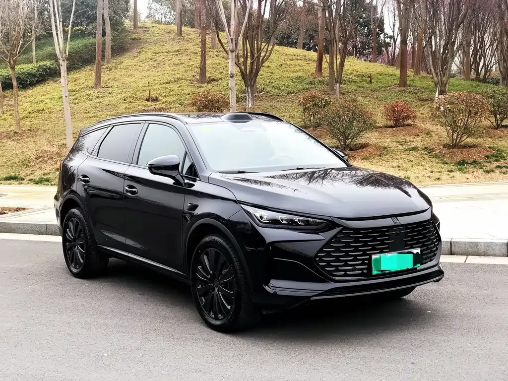 BYD Tang New Energy 2026 из CN, фото 6