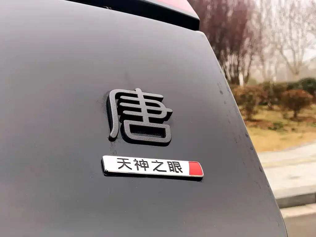 BYD Tang New Energy 2026 из CN, фото 3