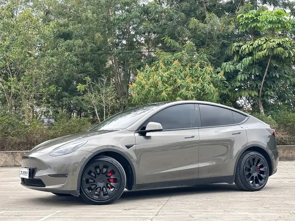 Tesla Model Y — фото 1