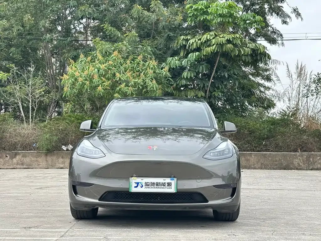 Tesla Model Y — фото 2