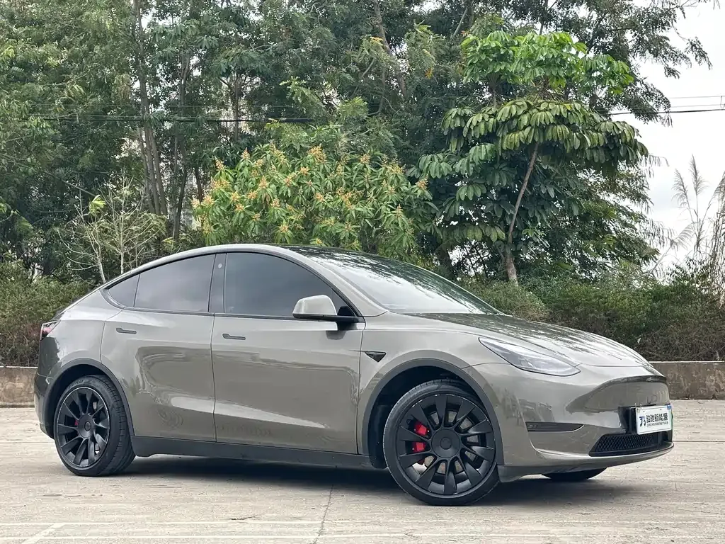 Tesla Model Y — фото 4