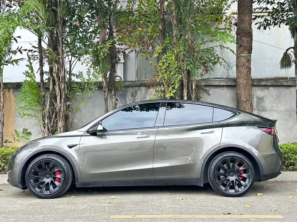 Tesla Model Y — фото 3