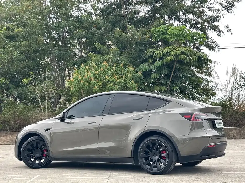Tesla Model Y — фото 8