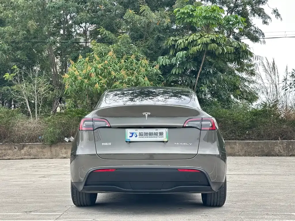 Tesla Model Y — фото 9