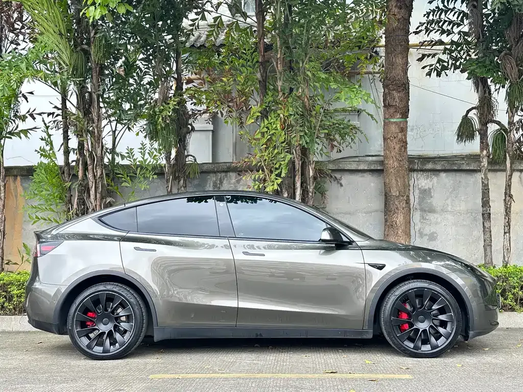Tesla Model Y — фото 10