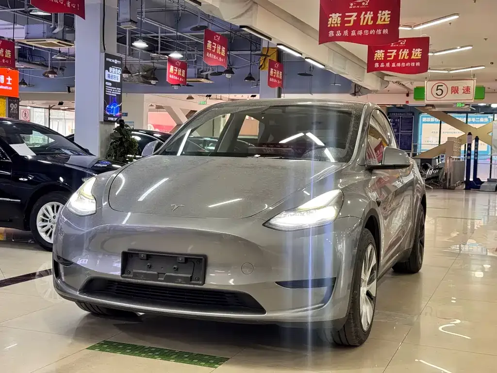 Tesla Model Y — фото 1