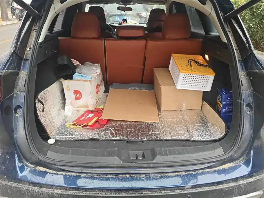 Infiniti QX50 2021 из CN, фото 6