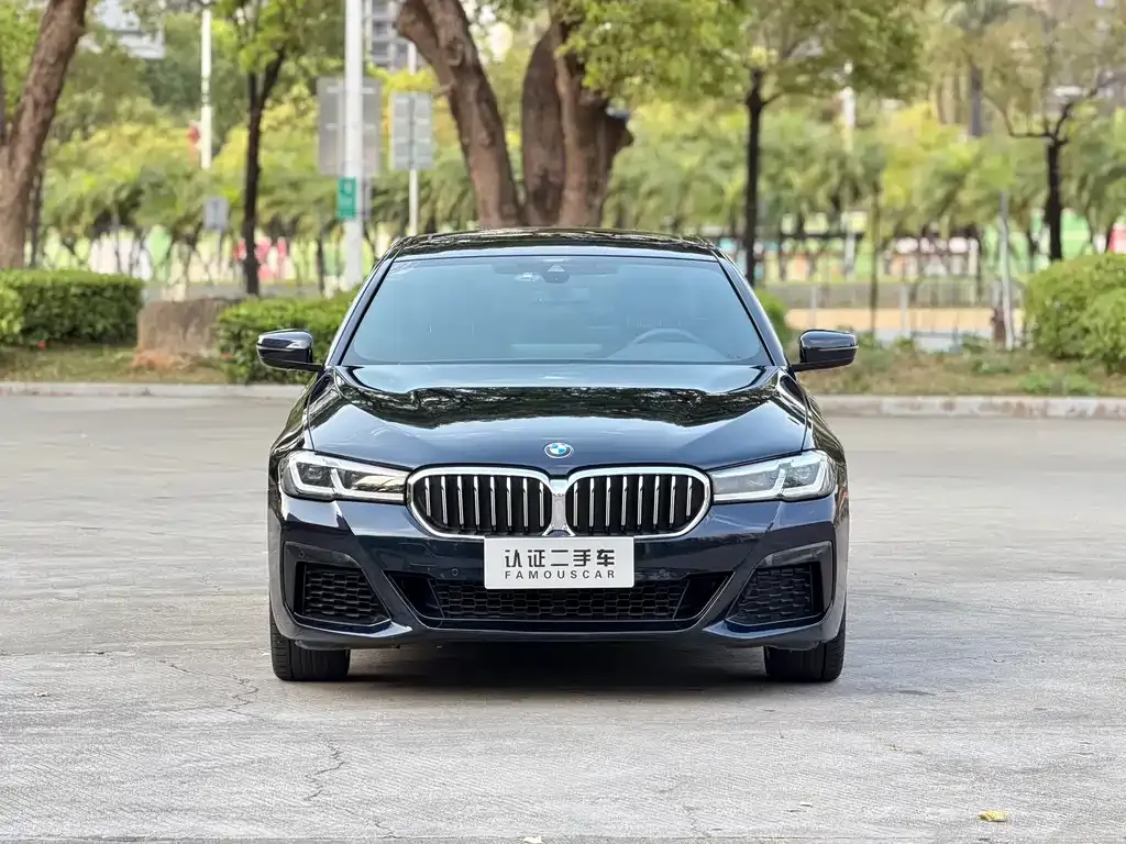 BMW 5 Series — фото 10