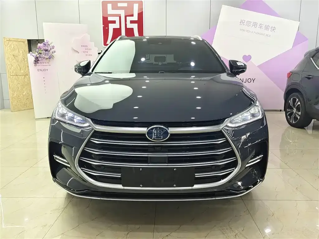 BYD Tang New Energy — фото 9