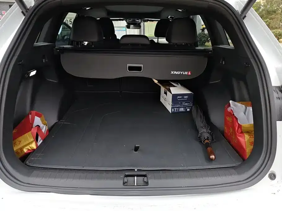 Geely Xingyue L 2024 из CN, фото 4