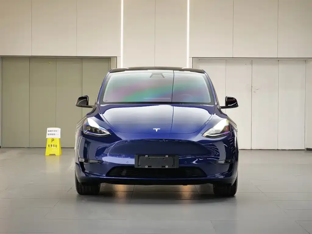Tesla Model Y — фото 3