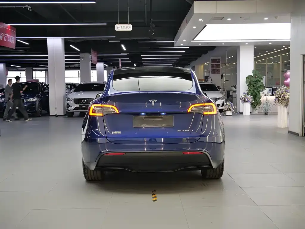 Tesla Model Y — фото 5