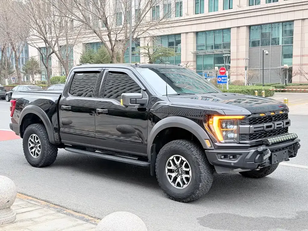 Ford F-150 Raptor — фото 8