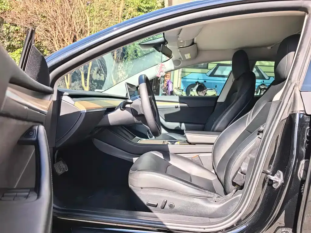Tesla Model 3 — фото 6