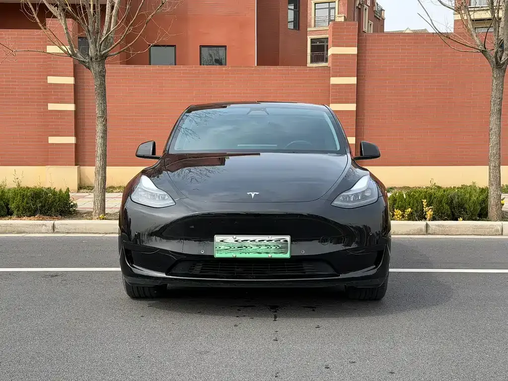 Tesla Model Y — фото 9