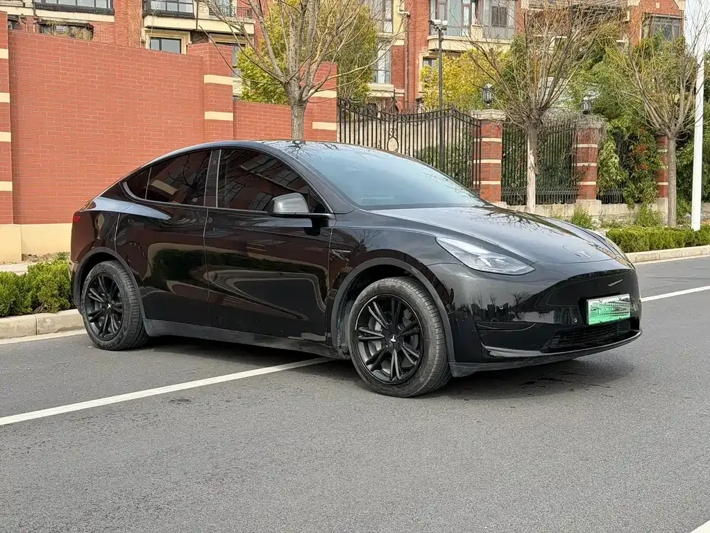 Tesla Model Y — фото 10