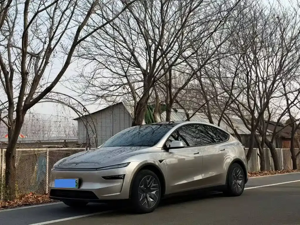 Tesla Model Y L — фото 1