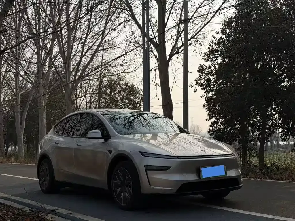 Tesla Model Y L — фото 9