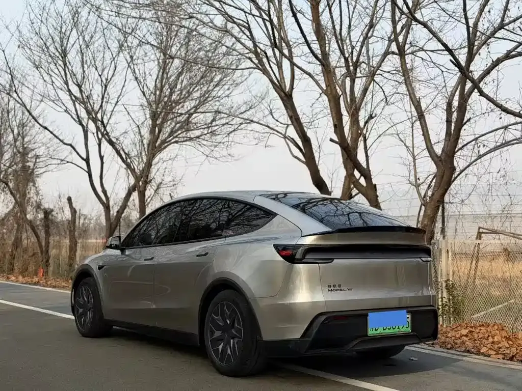 Tesla Model Y L — фото 7