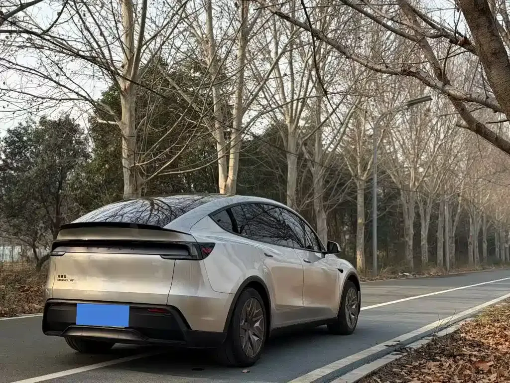 Tesla Model Y L — фото 8